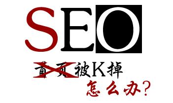 杭州SEO中心